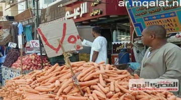 استقرار الأسواق بصعيد مصر.. قائمة أسعار الخضروات في الأقصر منتصف الأسبوع